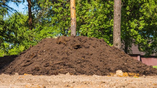 Dirt Installation in Binghamton