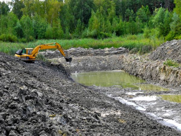 Cost of Fish Pond Digging in Binghamton