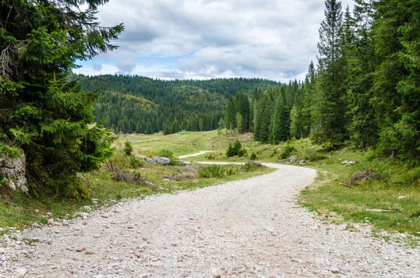 Gravel Road Grading in Binghamton