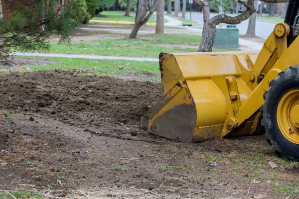 Backfilling Service in Binghamton
