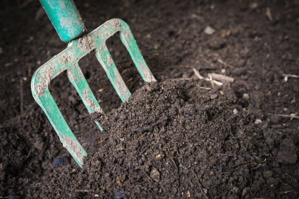 Topsoil Spreading in Binghamton