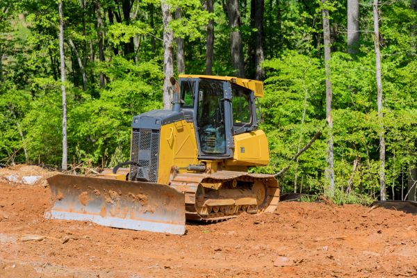 Cost of Lawn Flattening in Binghamton