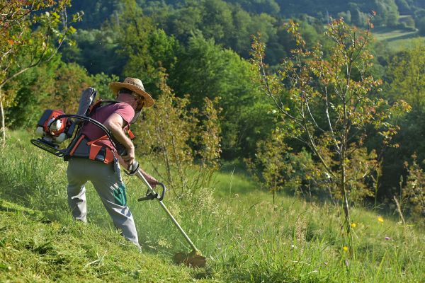 Cost of Slope Trimming in Binghamton